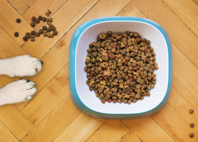 SlowBowl Ceramic Feeder