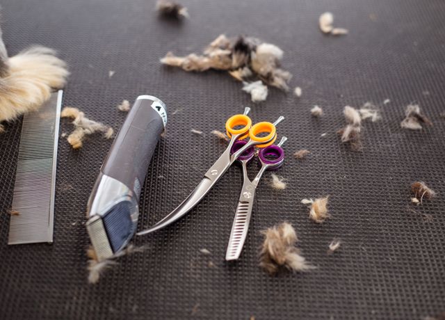 FurAway Deshedding Brush