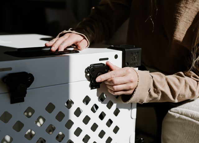 RoverGuard Travel Crate